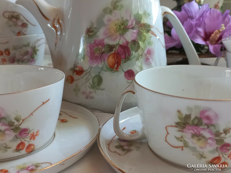 Beautiful antique hand-painted tea coffee set, jug, cups, small plates