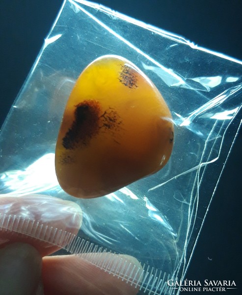 Large, polished honey amber brooch with plant inclusions