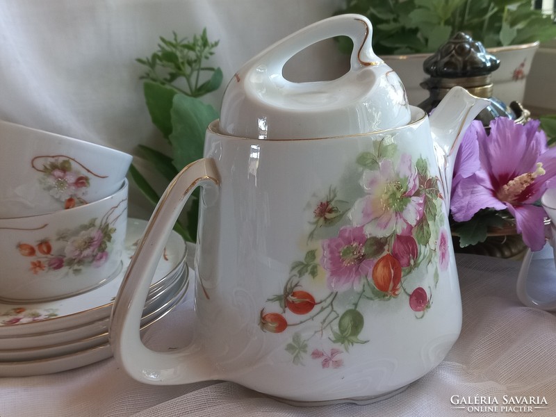 Beautiful antique hand-painted tea coffee set, jug, cups, small plates