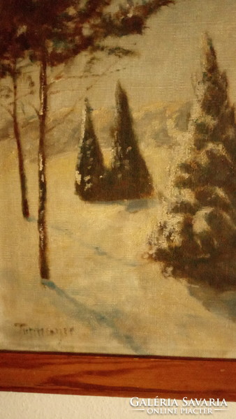 Sándor Turmayer: winter forest