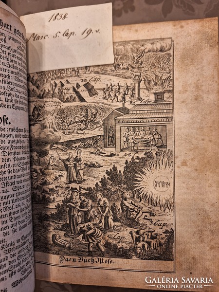 Luther Biblia németül 1742