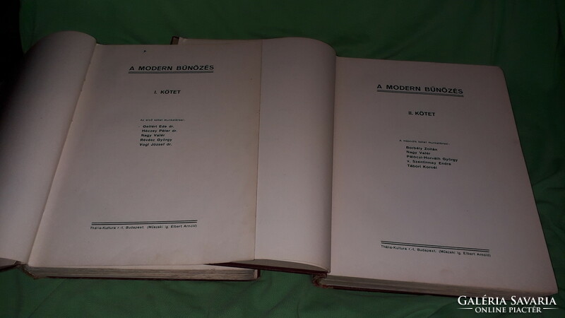 1929. Gyula Turcsányi: modern crime. I-ii. Volume book, according to the pictures, rye