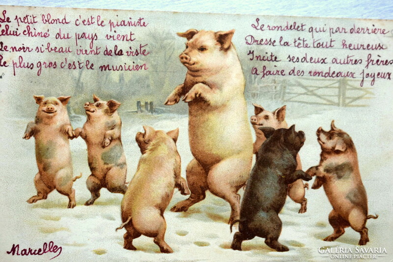 Antique a&m b graphic greeting card - dancing pigs from 1904