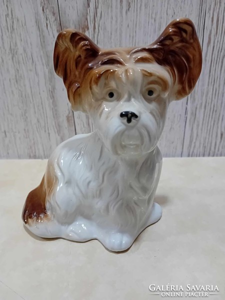 Lippelsdorf German porcelain terrier dog