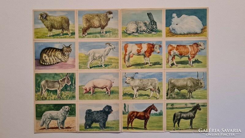Alfred Edmund Brehm - the world of animals i-iv. All copies are in good condition