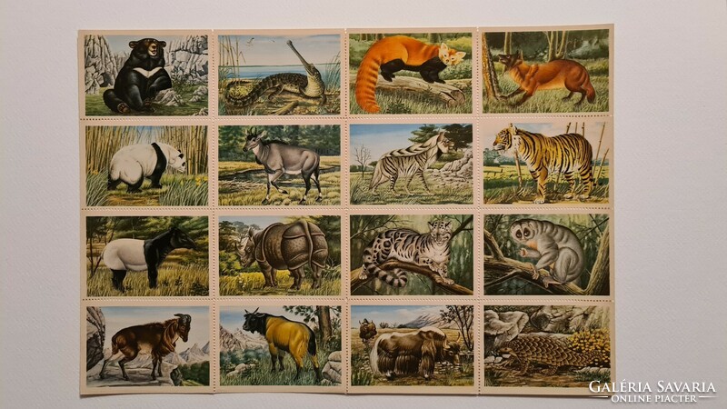 Alfred Edmund Brehm - the world of animals i-iv. All copies are in good condition