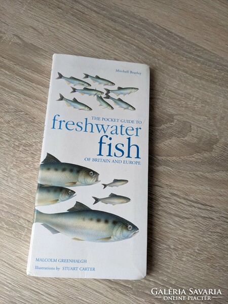 The Pocket Guide to Freshwater Fish of Britain and Europe (2001)