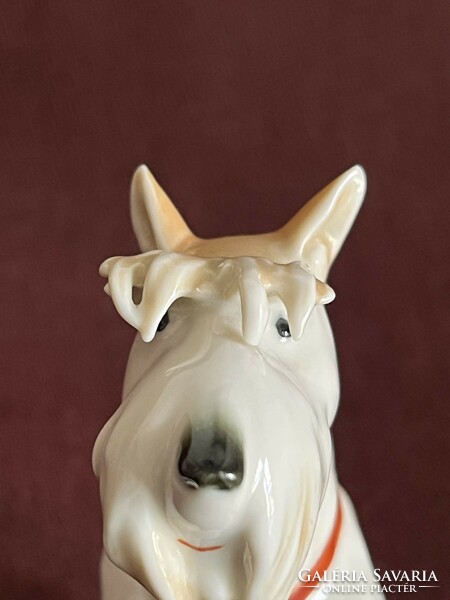 Volkstedt skót terrier kutya porcelán figura