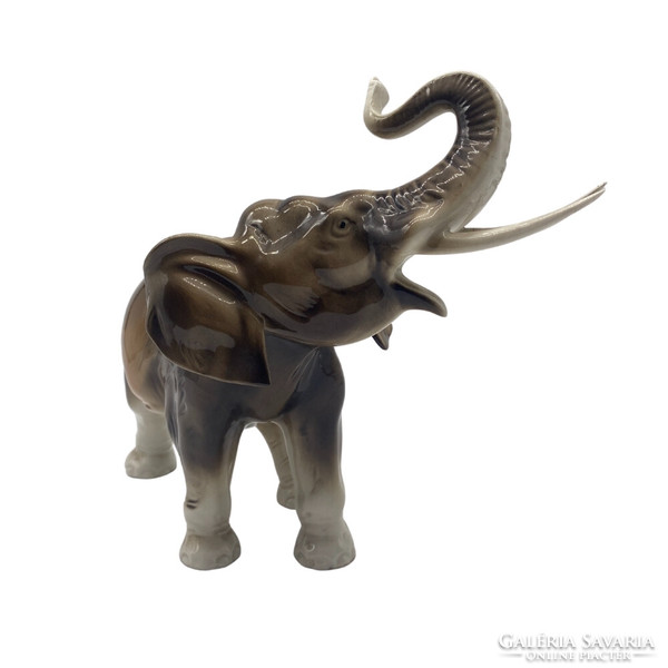 Royal dux elephant porcelain with tusk m00644