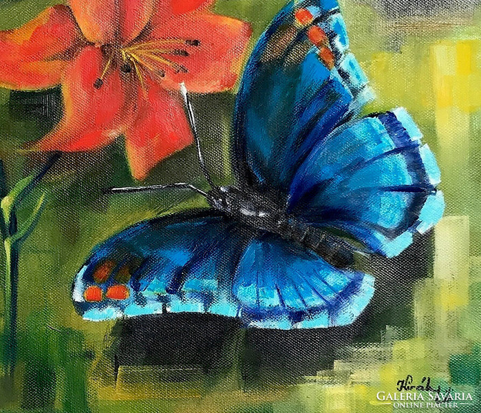 Kék pillangó - 40 x 40 centis olajfestmény