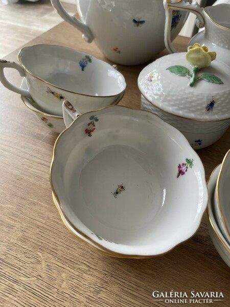 Herend tea and cake set - rare ribbon with floral, beetle pattern, gold-plated