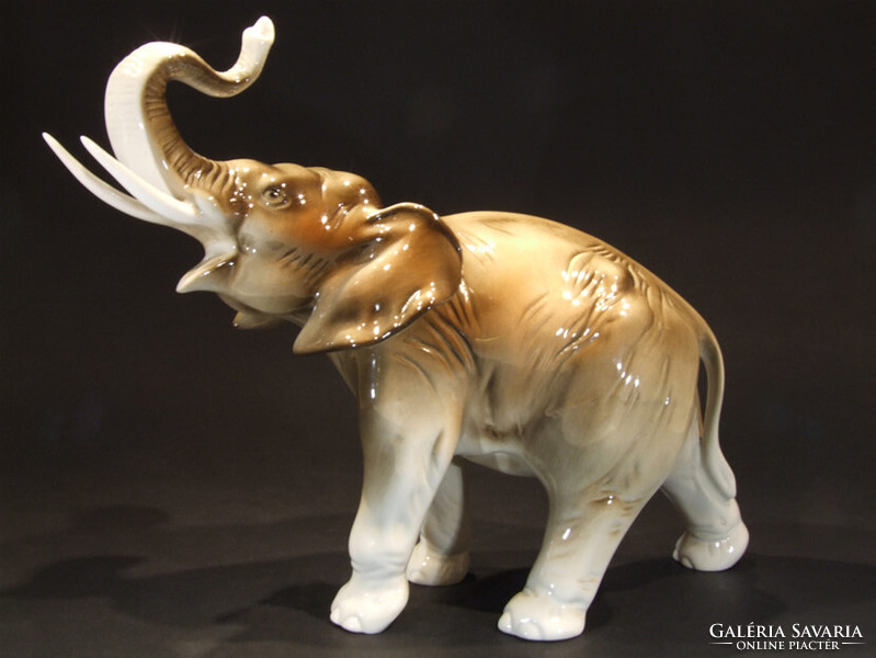 Great royal dux elephant (070401)