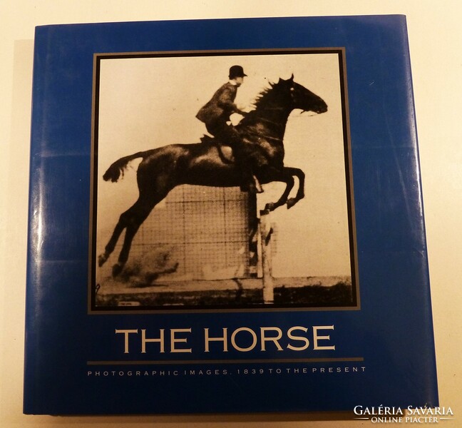 Equestrian book, even as a gift
