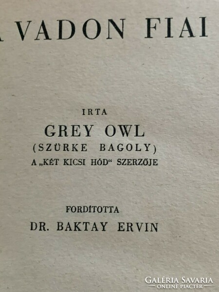 Owl: sons of the wild