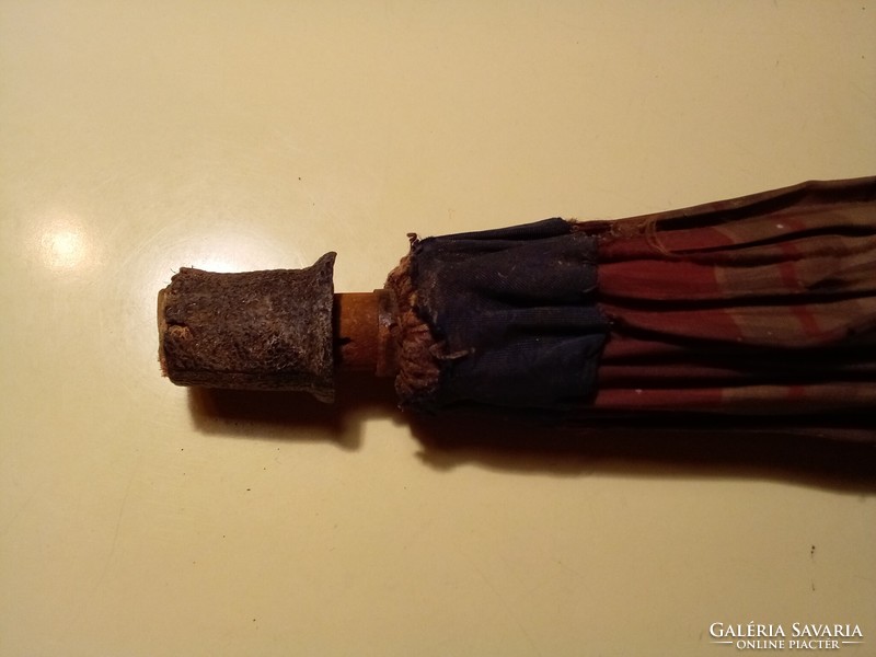 Very old carved dog head umbrella