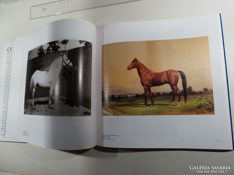 Equestrian book, even as a gift