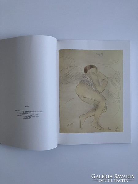 Auguste Rodin, Dessins et aquarelles, művészeti könyv, francia