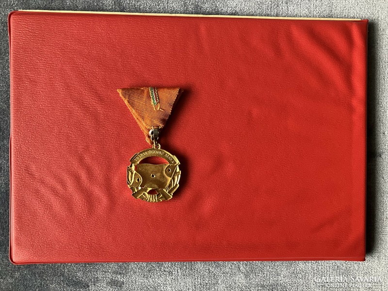 Medal of Merit for Service to the Homeland gold grade award with wearing and donating document