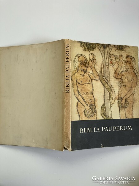 Biblia Pauperum, vallási kiadvány