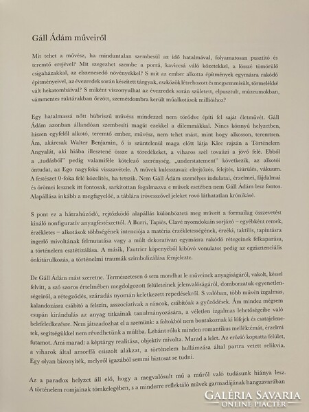 Gáll Ádám: Eltűnésmintázatok/Patterns of passing, művészeti könyv