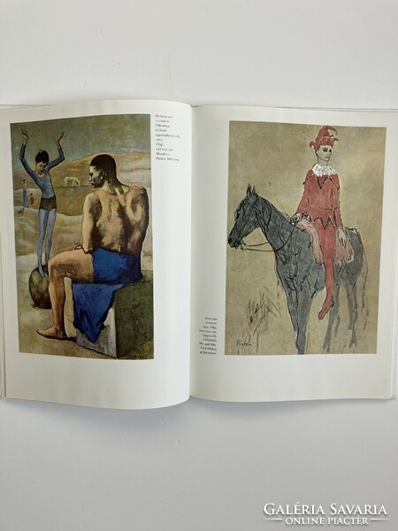 Denys Chevalier: Picasso kék és rózsaszín korszaka, művészeti könyv