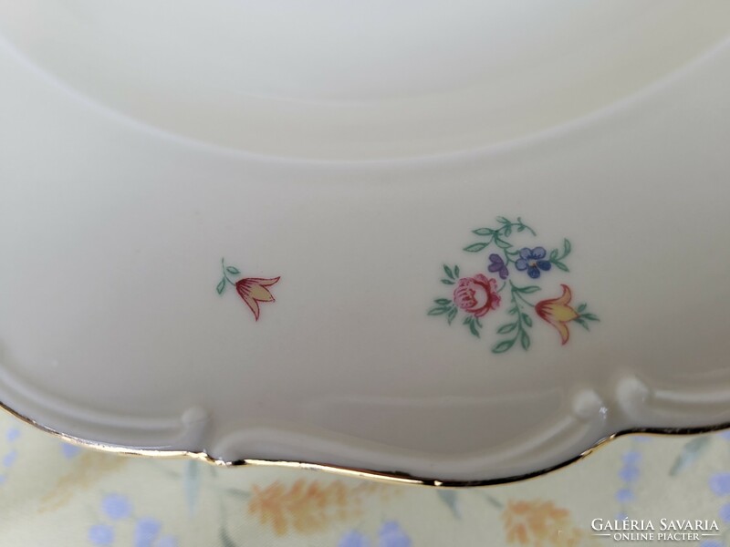 Haas & czjzek, old Czech porcelain tableware-replacement_soup, deep plate, sauce bowl