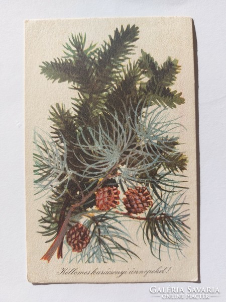 Old Christmas postcard 1959 postcard pine branch cone