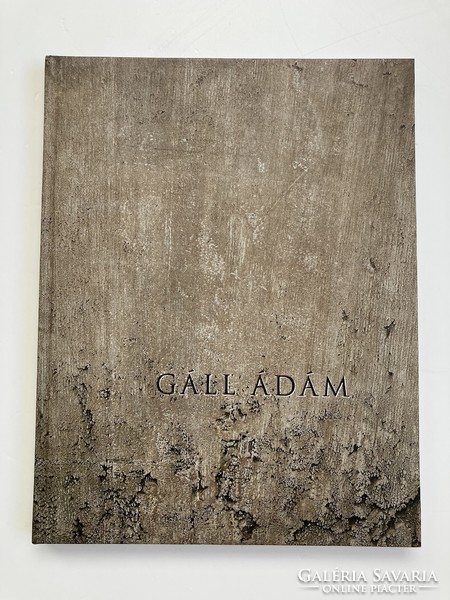 Gáll Ádám: Eltűnésmintázatok/Patterns of passing, művészeti könyv