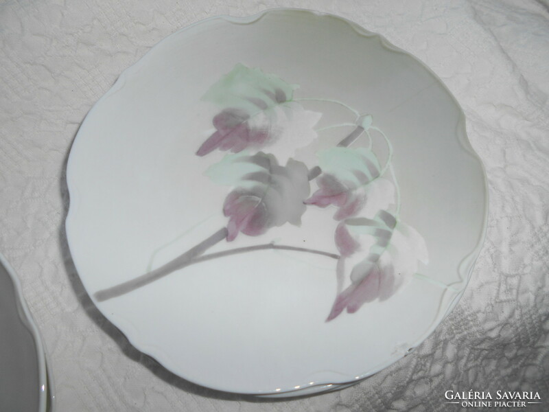 6 antique eichwald porcelain plates with a leafy branch pattern, 19 cm