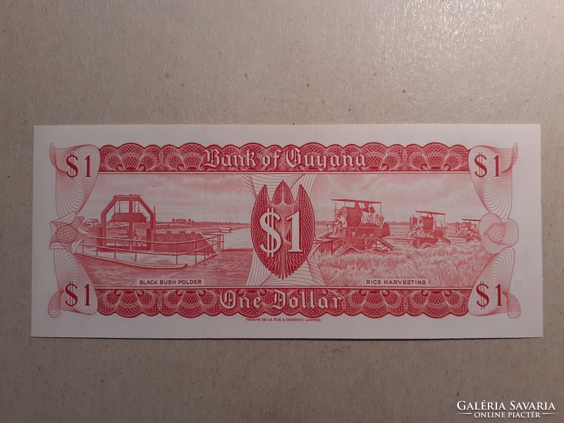 Guyana-1 Dollar 1989 UNC