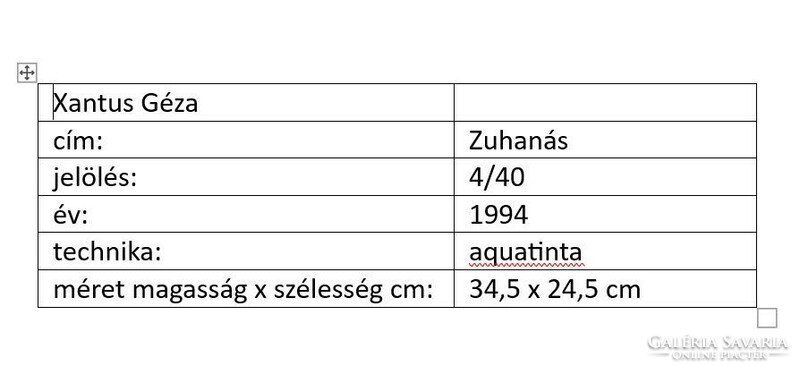 Xantus Géza, Zuhanás, akvatinta, 34,5 x 24,5 cm