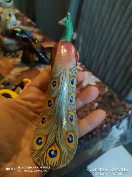 Beautiful drasche peacock