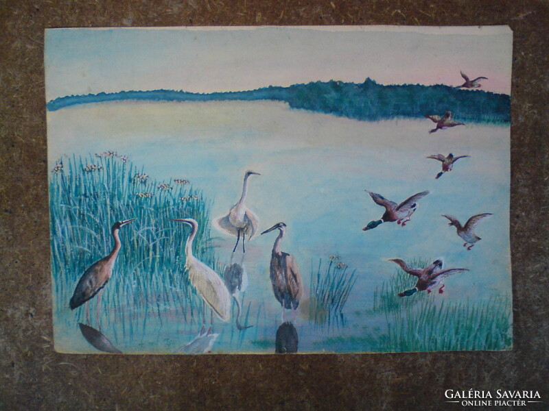 Very old picture of birds in the lake - watercolor, i.e. water painting, small painting