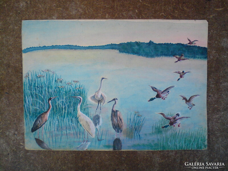 Very old picture of birds in the lake - watercolor, i.e. water painting, small painting