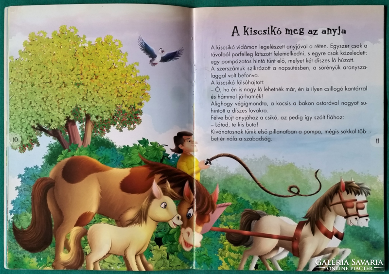 Ötperces mesék - Pádár Éva: Egy eszes kecske és más történetek - Képeskönyv