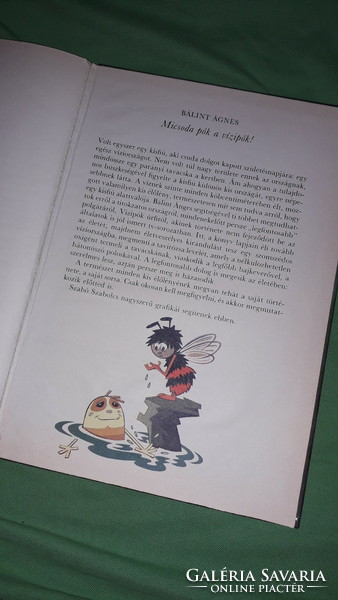 1985. Ágnes Bálint: what a spider the water spider is! Capable story book according to the pictures móra 2.