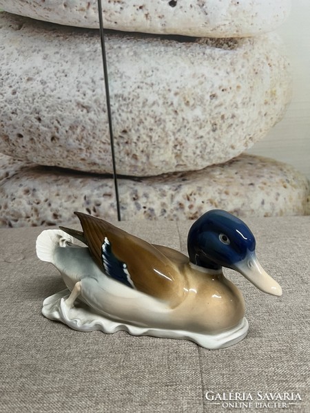 Metzler & Ortloff porcelain wild duck a63