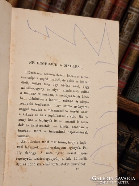 1911 FEHÉR KÖNYVEK---TÖMÖRKÉNY ISTVÁN : NE ENGEDJÜK A MADARAT- JUGENDSTIL KÖTÉS!!-GYŰJTŐI!!!