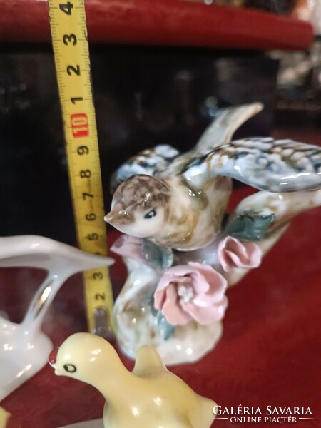 Gyönyörű porcelán madarak