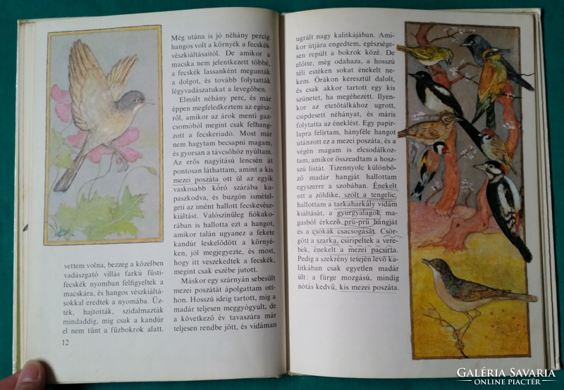 'Schmidt egon: decoy birds > children's and youth literature >> animal world > birds