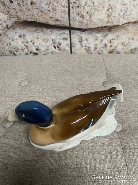 Metzler & Ortloff porcelain wild duck a63