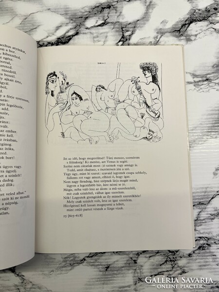 Picasso: Ovidius könyv a szerelmről