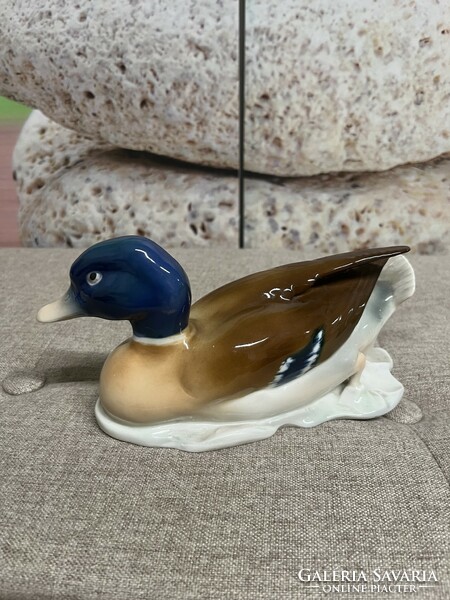 Metzler & Ortloff porcelain wild duck a63