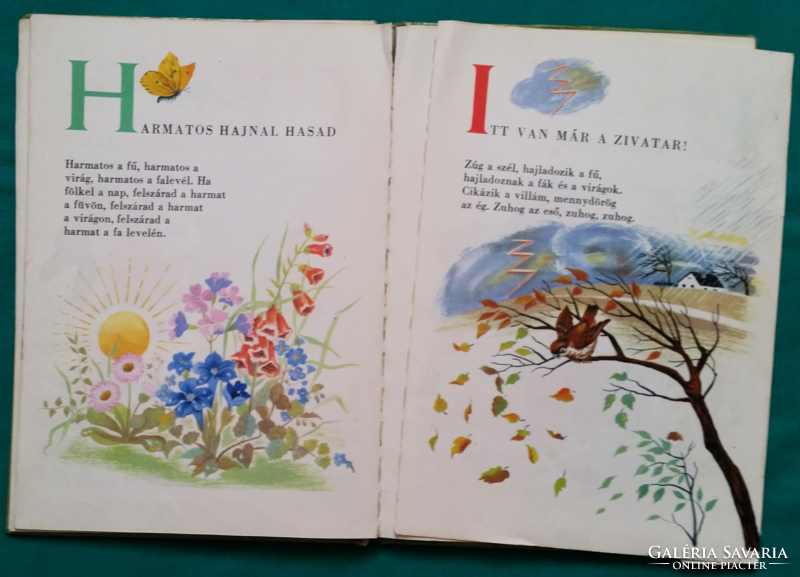 Ferenc Móra: Zengő abc - graphics: Kató Lukács > children's and youth literature > informational