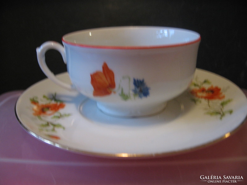 Retro mz poppy, daisy, cornflower porcelain cup set