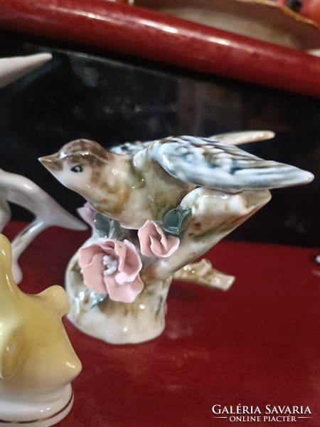 Gyönyörű porcelán madarak