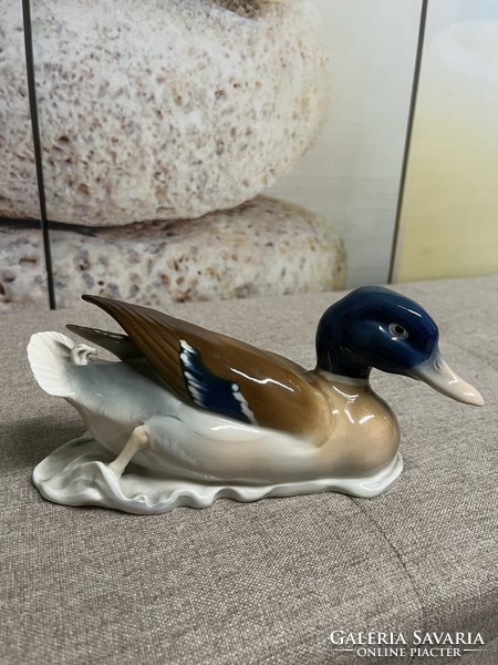 Metzler & Ortloff porcelain wild duck a63