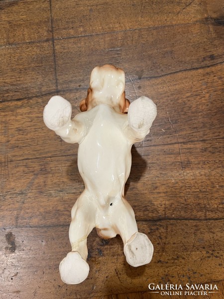 Bulldog porcelán kiskutya