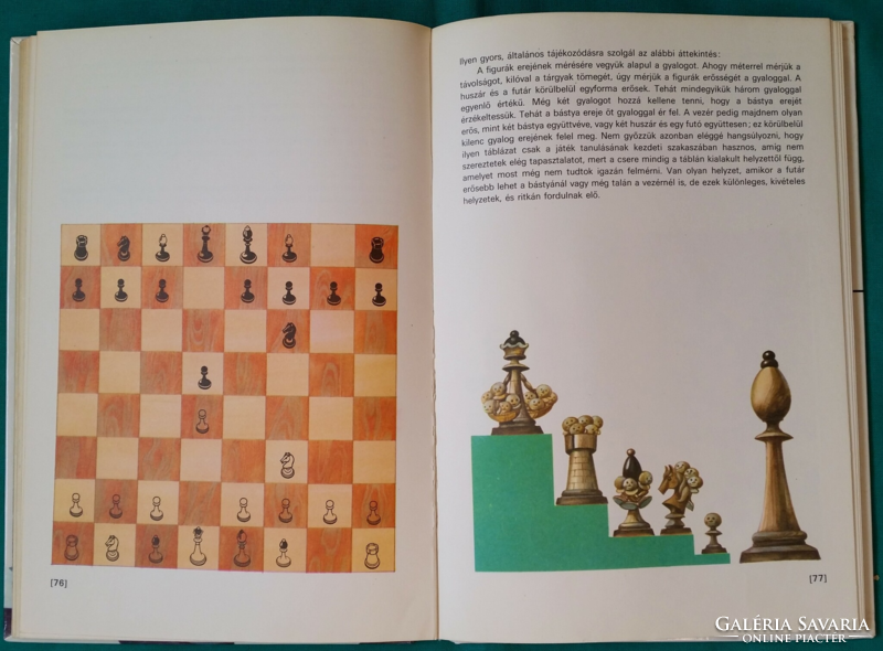 Inna veselá: chess school - hobby - sport > chess