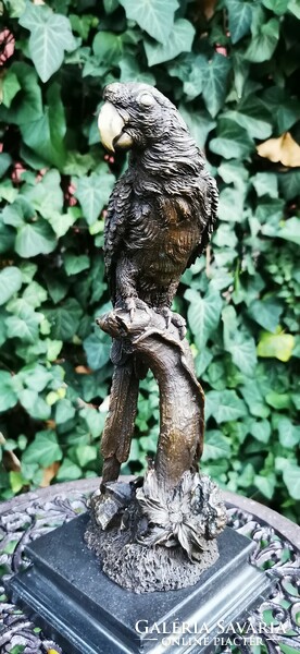 Parrot bronze statue